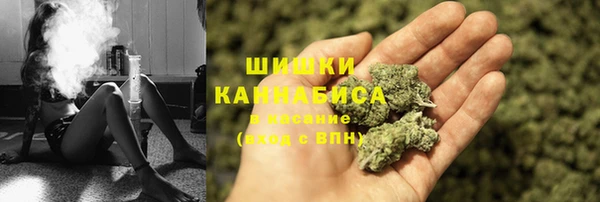 молекула духа Верхний Тагил